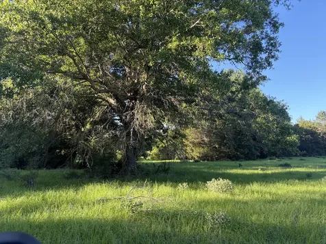 289 Fcr 261 Oakwood TX 75855