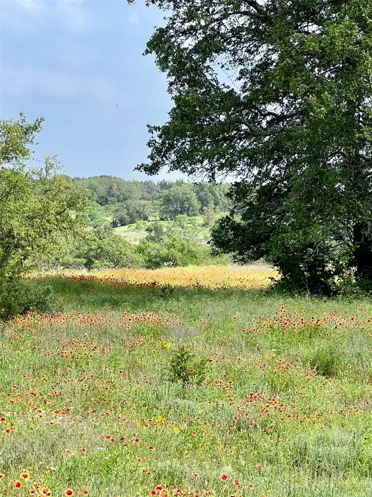 660 Fm 203 Walnut Springs TX 76690