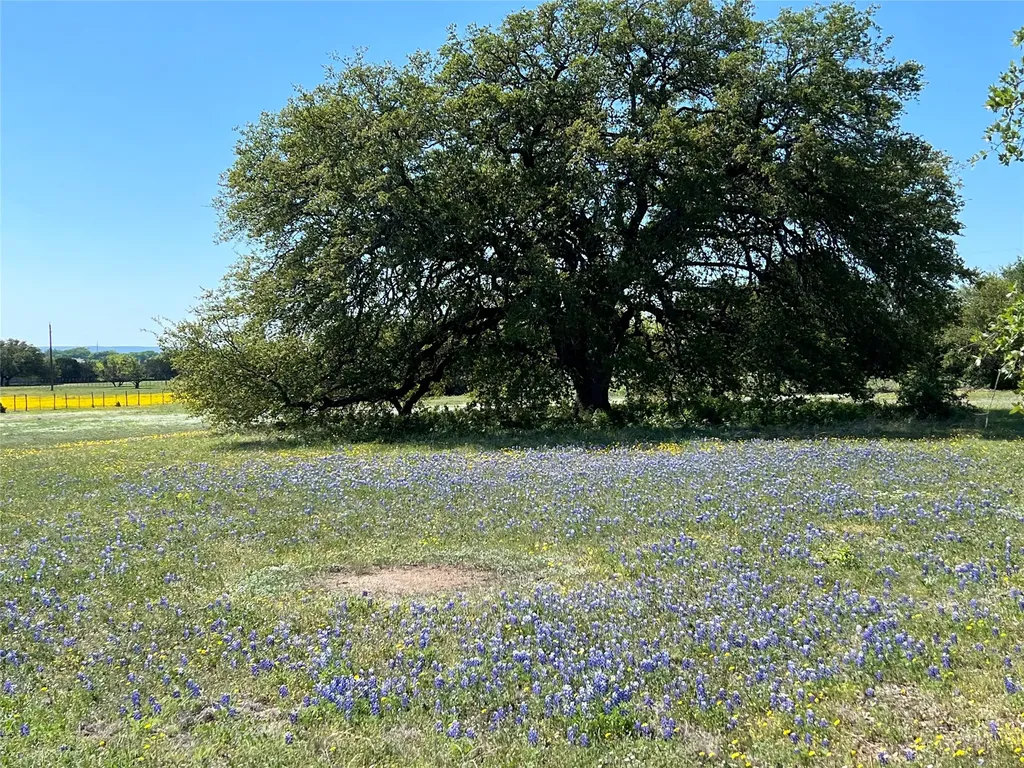 660 Fm 203 Walnut Springs TX 76690