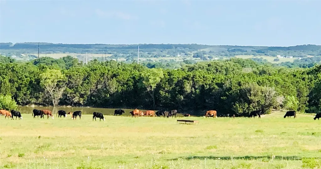 660 Fm 203 Walnut Springs TX 76690