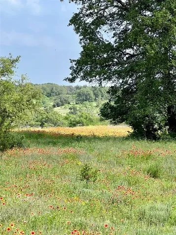 660 Fm 203 Walnut Springs TX 76690