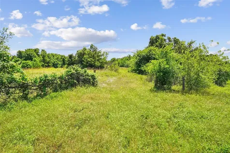 Tbd School House Road Forestburg TX 76239