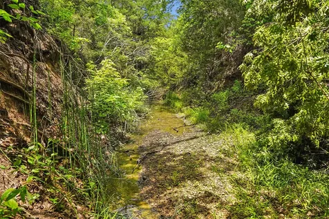 Tbd School House Road Forestburg TX 76239