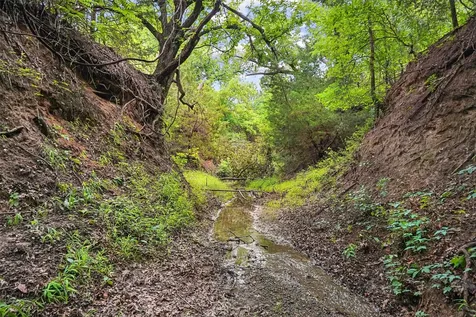 Tbd School House Road Forestburg TX 76239