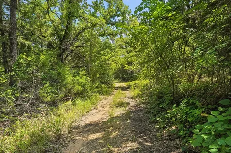 Tbd School House Road Forestburg TX 76239