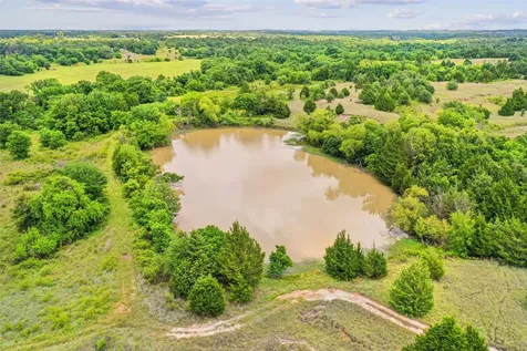Tbd School House Road Forestburg TX 76239
