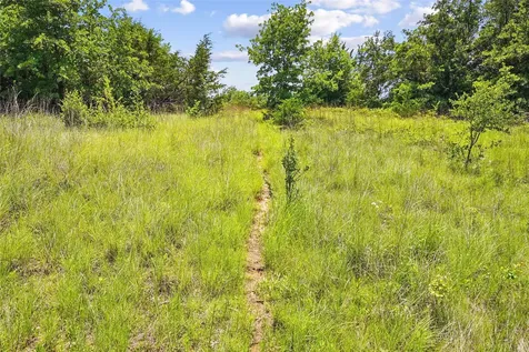 Tbd School House Road Forestburg TX 76239
