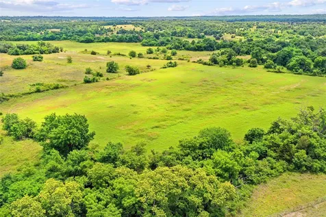 Tbd School House Road Forestburg TX 76239