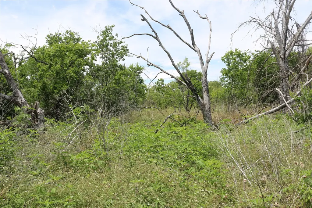 000 State Highway 6 Dublin TX 76446