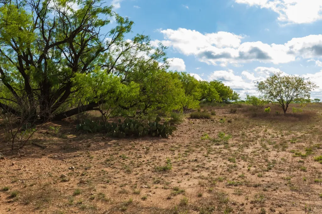 600 Fm 600 Haskell TX 79553