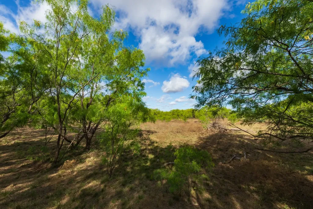 600 Fm 600 Haskell TX 79553