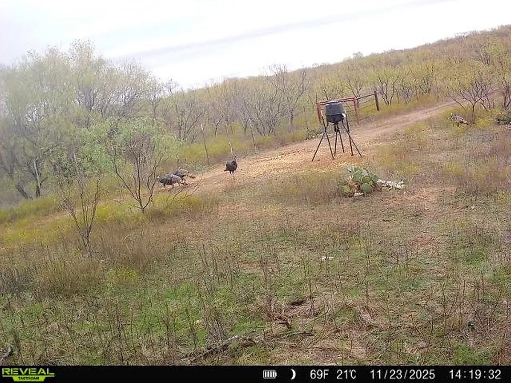 600 Fm 600 Haskell TX 79553