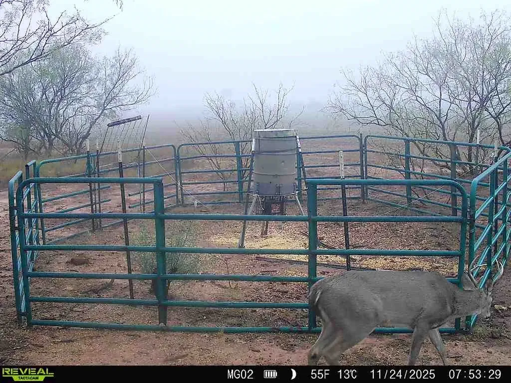 600 Fm 600 Haskell TX 79553