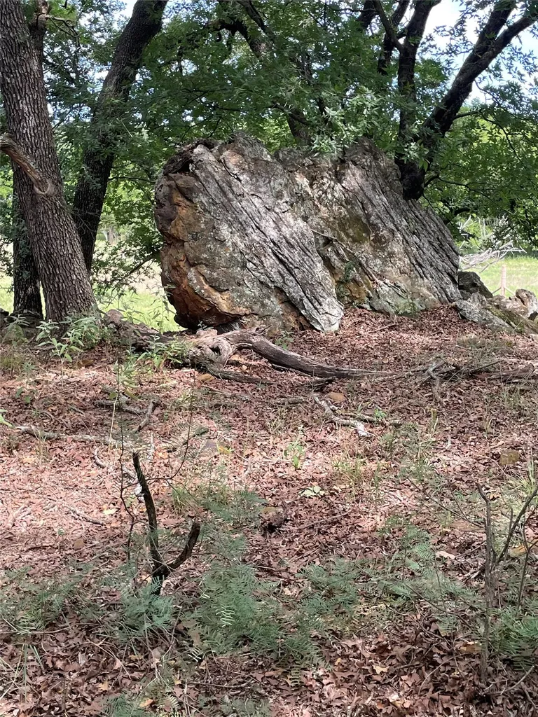 31.09 Ac Hoefle Road Jacksboro TX 76458