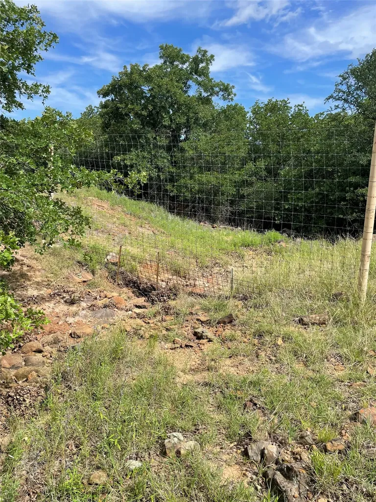 31.09 Ac Hoefle Road Jacksboro TX 76458