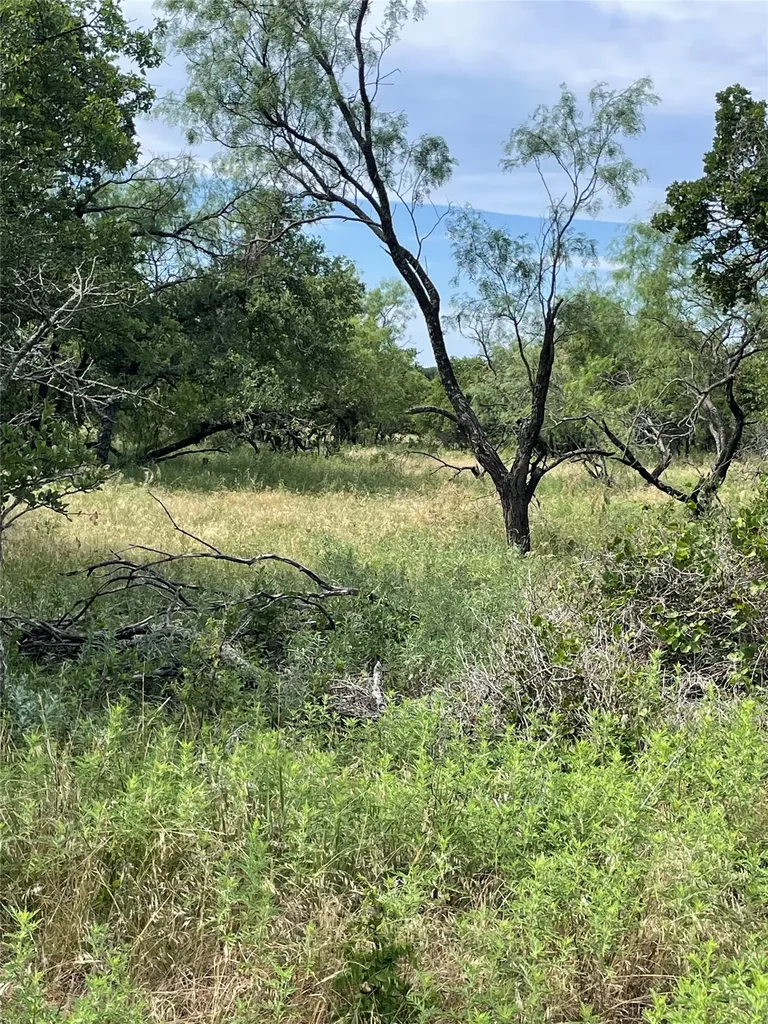 31.09 Ac Hoefle Road Jacksboro TX 76458