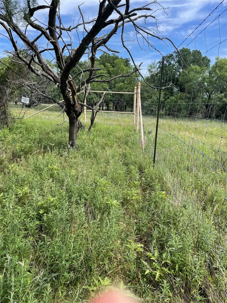 31.09 Ac Hoefle Road Jacksboro TX 76458