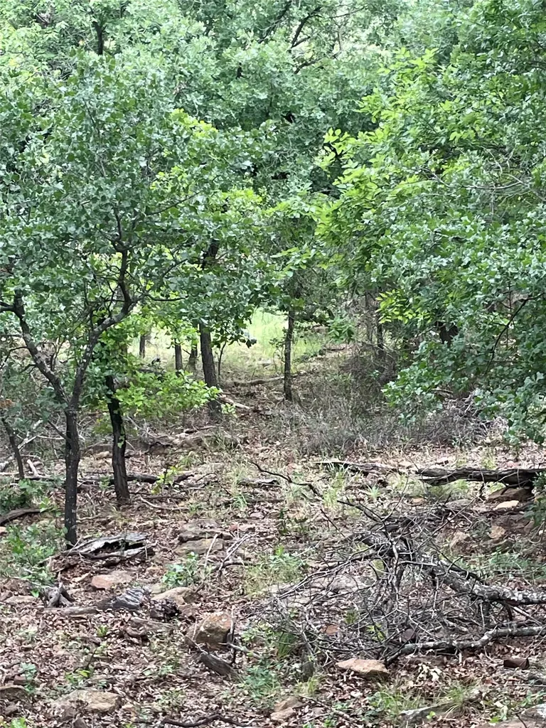 31.09 Ac Hoefle Road Jacksboro TX 76458