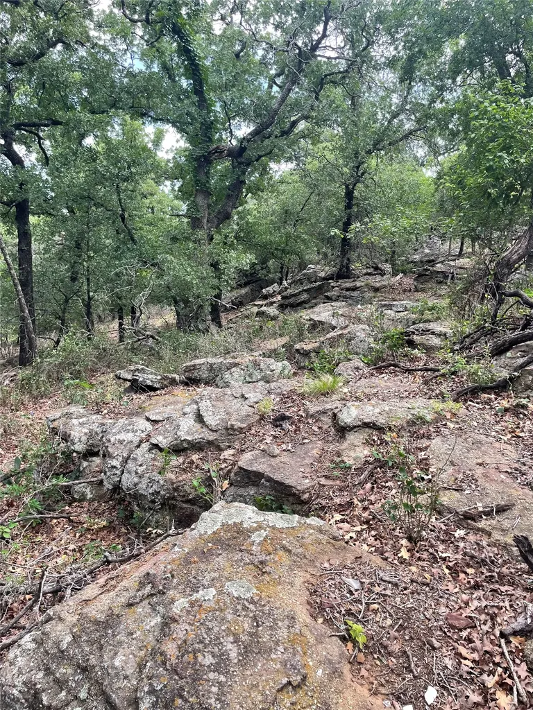31.09 Ac Hoefle Road Jacksboro TX 76458