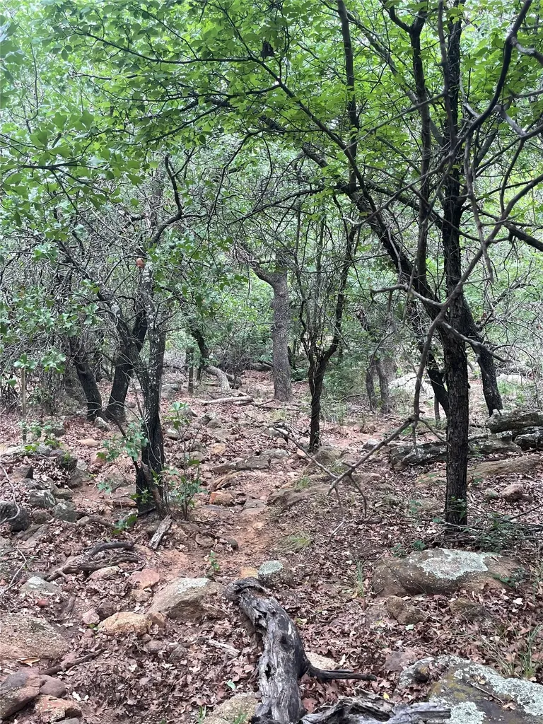 31.09 Ac Hoefle Road Jacksboro TX 76458