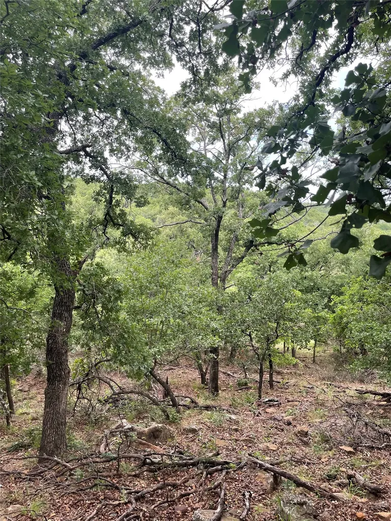 31.09 Ac Hoefle Road Jacksboro TX 76458