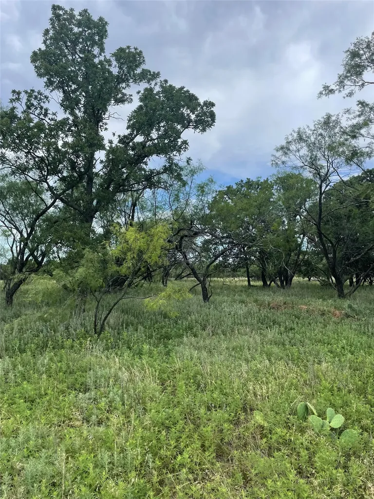 31.09 Ac Hoefle Road Jacksboro TX 76458