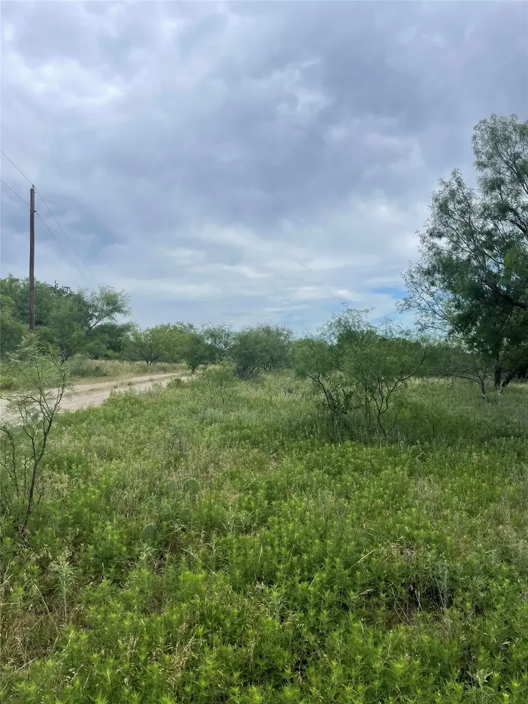 31.09 Ac Hoefle Road Jacksboro TX 76458