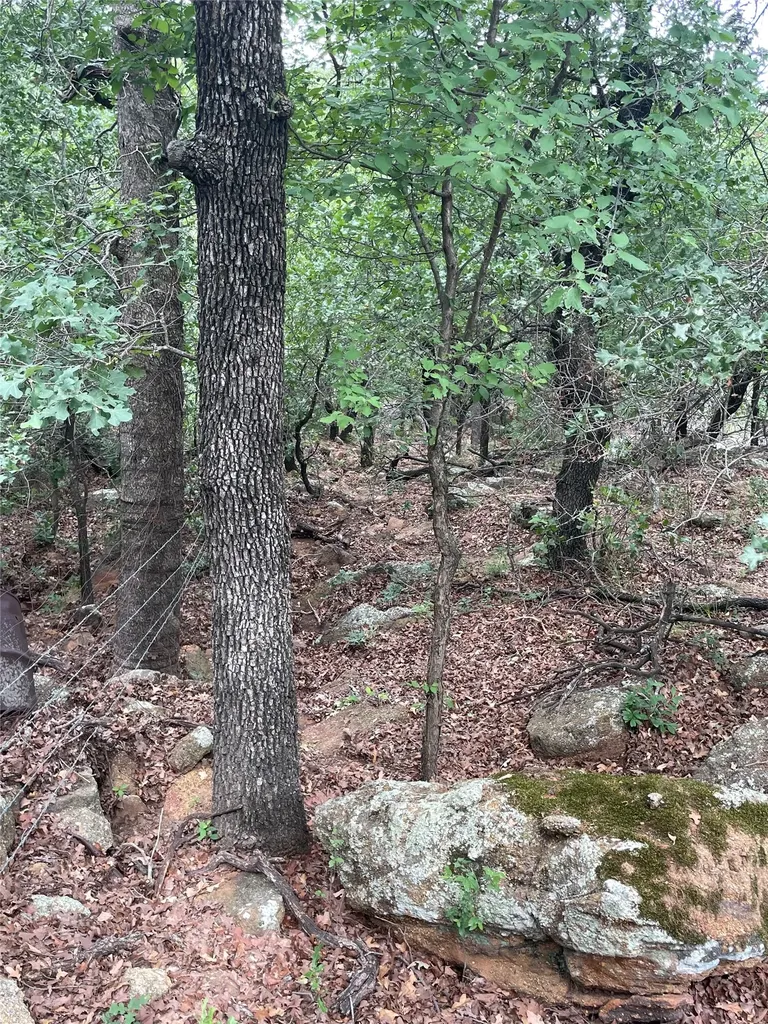 31.09 Ac Hoefle Road Jacksboro TX 76458