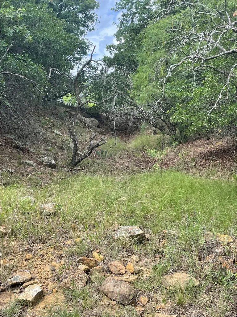 31.09 Ac Hoefle Road Jacksboro TX 76458