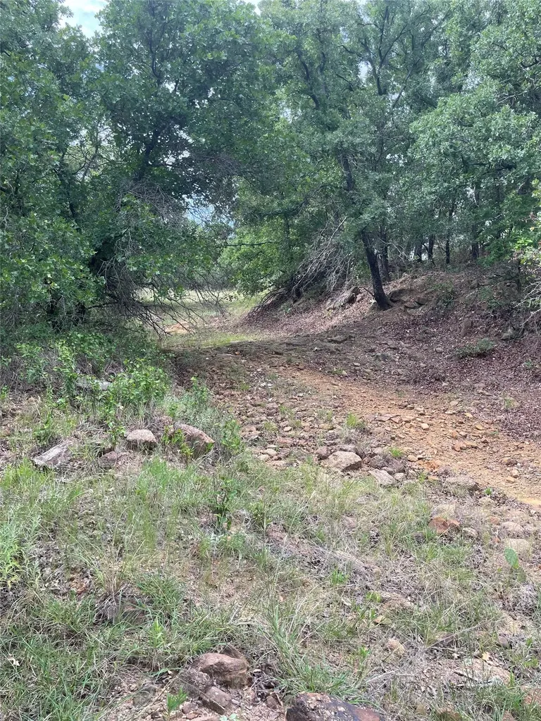 31.09 Ac Hoefle Road Jacksboro TX 76458