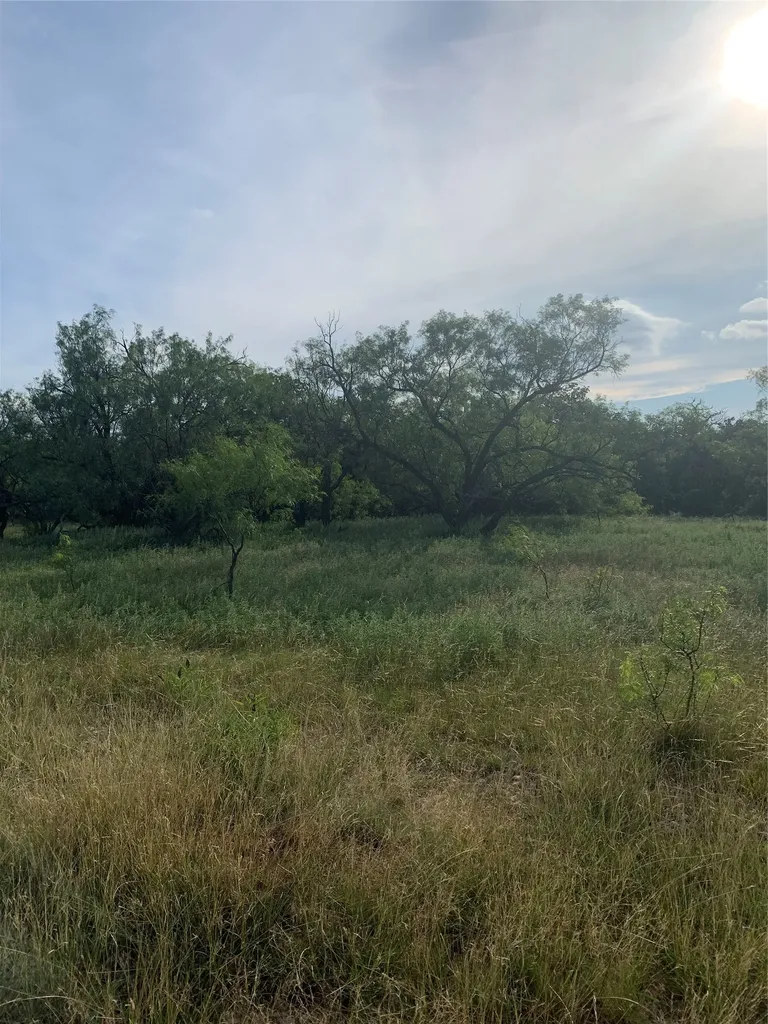 31.09 Ac Hoefle Road Jacksboro TX 76458