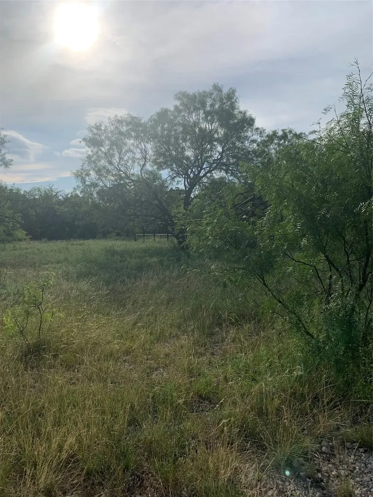 31.09 Ac Hoefle Road Jacksboro TX 76458