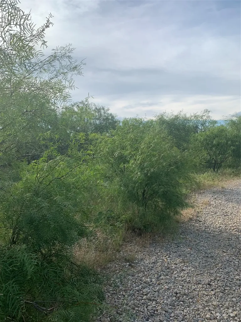 31.09 Ac Hoefle Road Jacksboro TX 76458