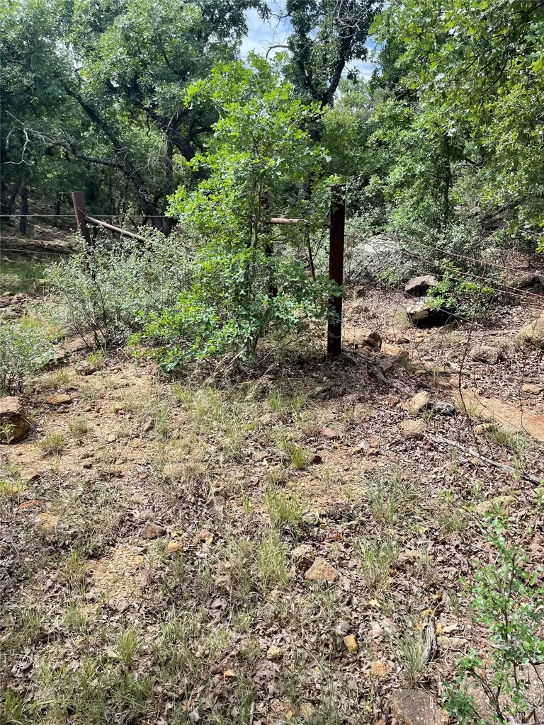 31.09 Ac Hoefle Road Jacksboro TX 76458
