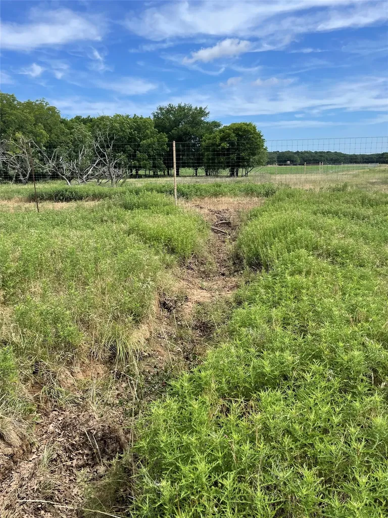 31.09 Ac Hoefle Road Jacksboro TX 76458