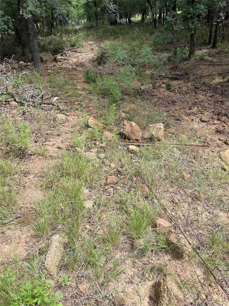 31.09 Ac Hoefle Road Jacksboro TX 76458