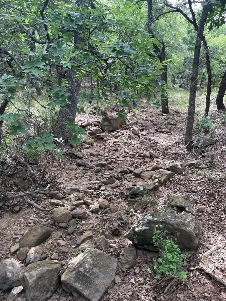 31.09 Ac Hoefle Road Jacksboro TX 76458