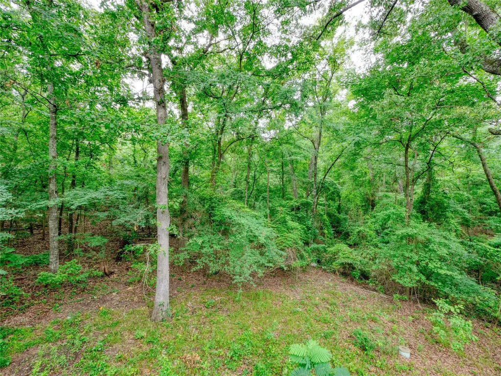 1508 Canadian Drive Scroggins TX 75480