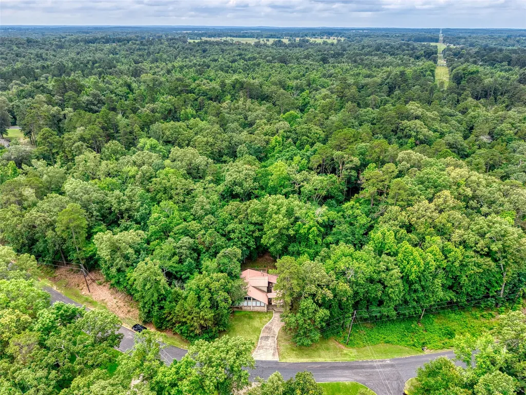 1508 Canadian Drive Scroggins TX 75480
