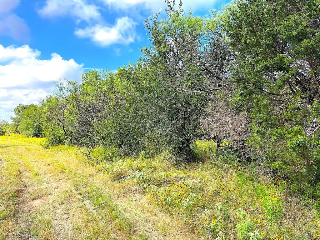 11020 Highway 281 Whitt TX 76490