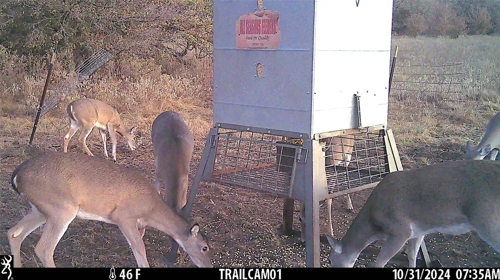 11020 Highway 281 Whitt TX 76490