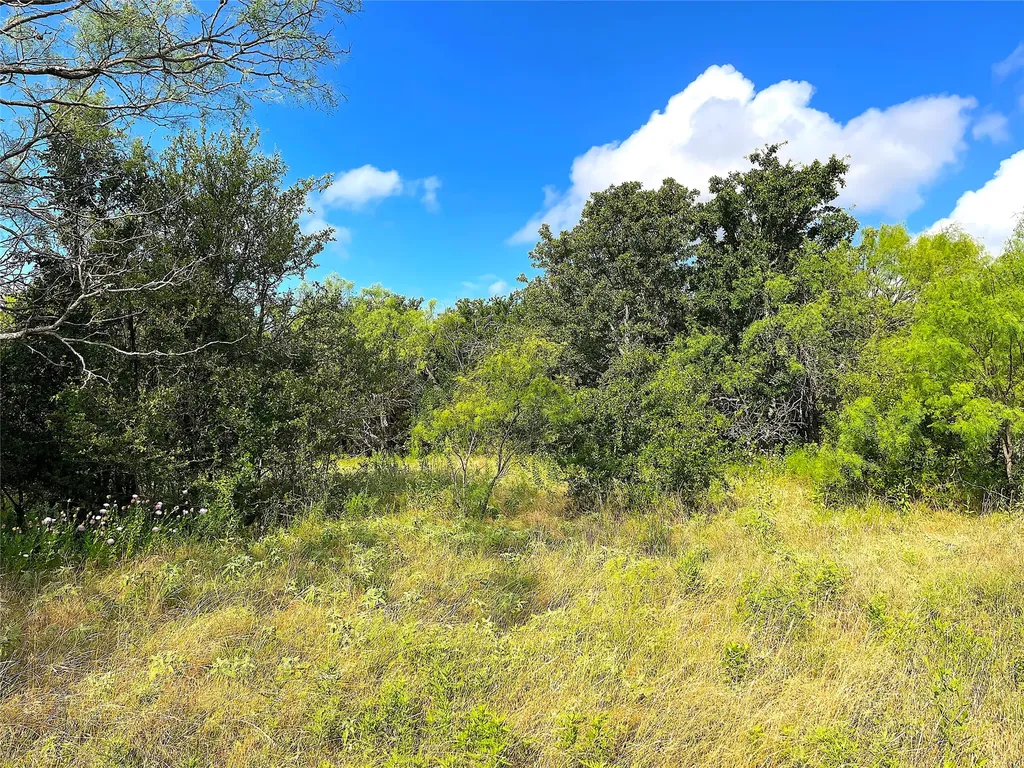 11020 Highway 281 Whitt TX 76490
