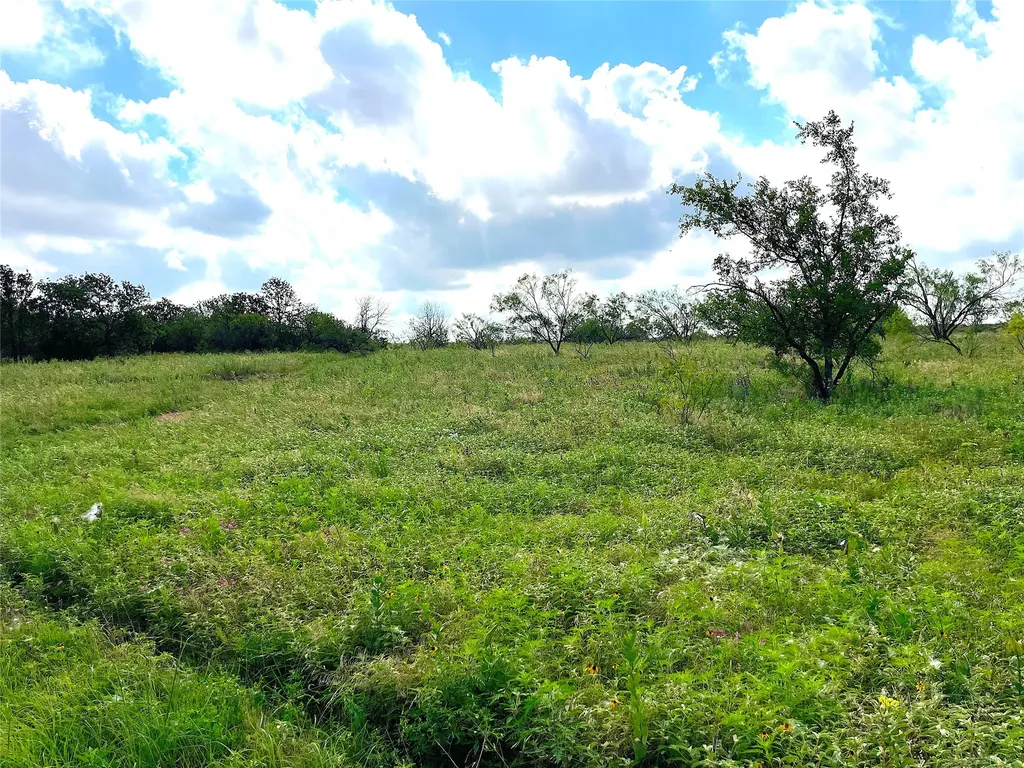 11020 Highway 281 Whitt TX 76490