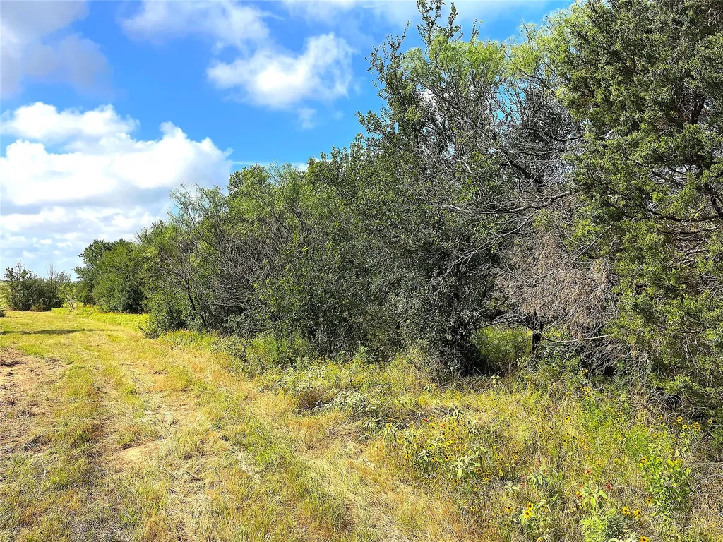 11020 Highway 281 Whitt TX 76490
