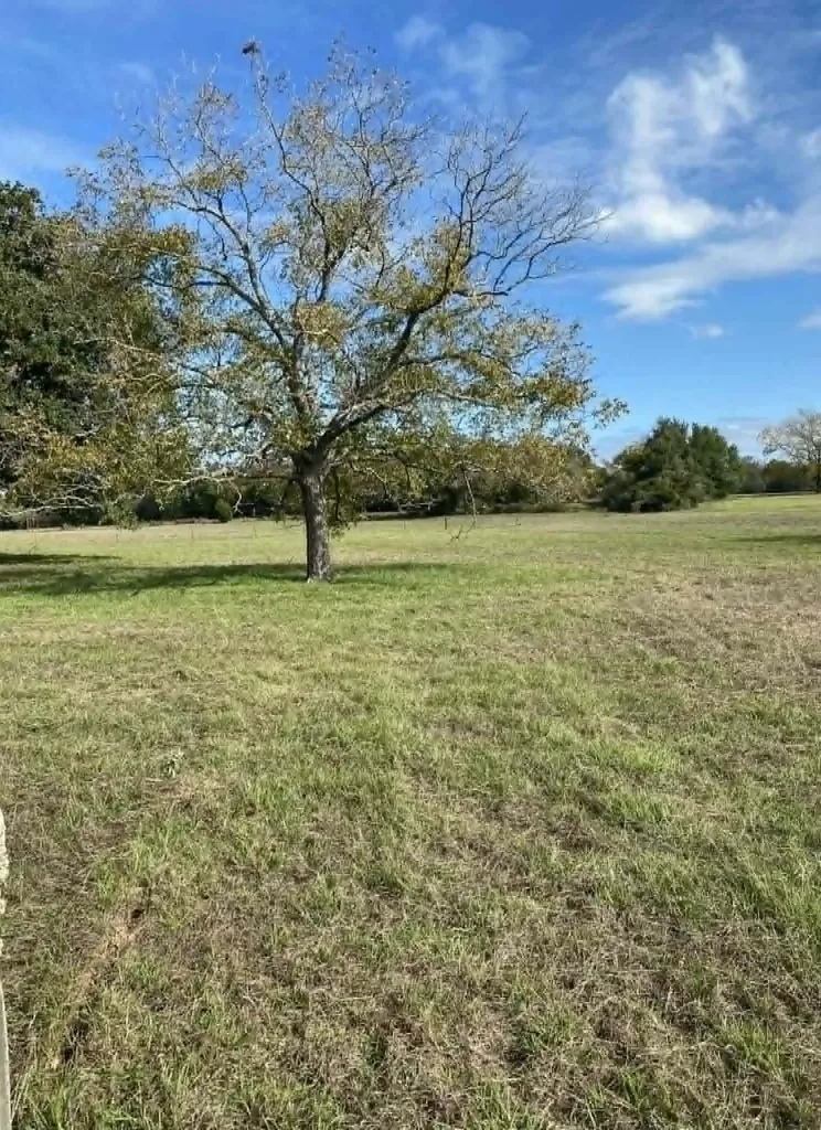 Tbd County Road 269 Kosse TX 76653