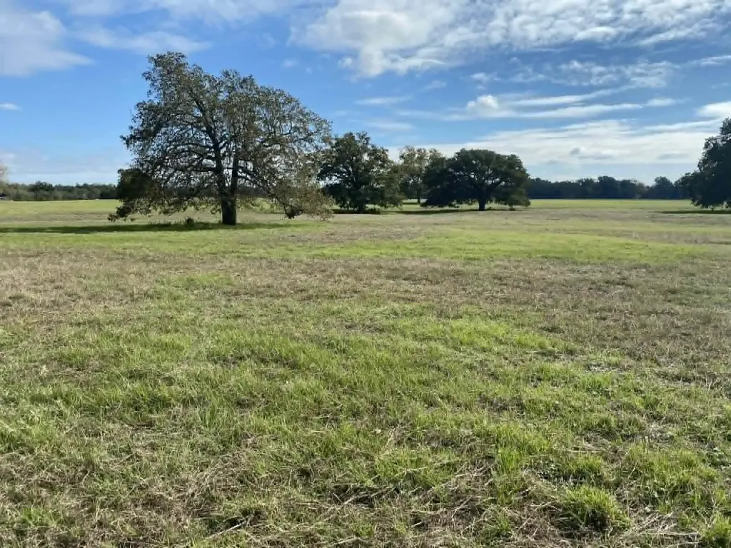 Tbd County Road 269 Kosse TX 76653