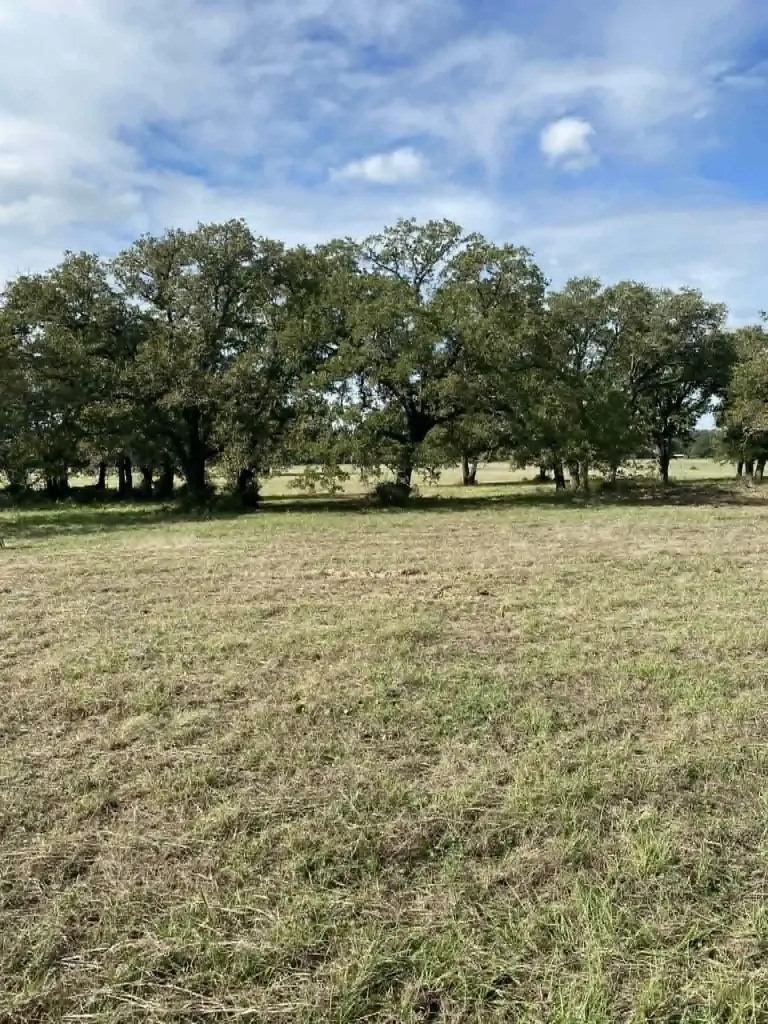 Tbd County Road 269 Kosse TX 76653