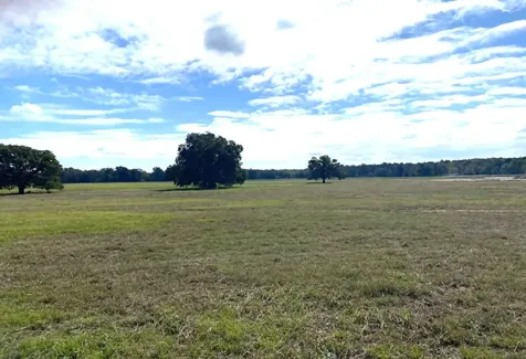 Tbd County Road 269 Kosse TX 76653