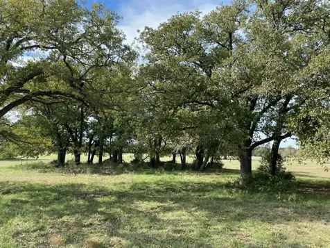 Tbd County Road 269 Kosse TX 76653