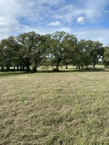 Tbd County Road 269 Kosse TX 76653